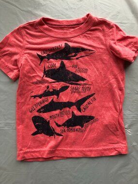 24-Months Carter's Salmon Colored T-Shirt with Sharks & Shark facts; Summer wear